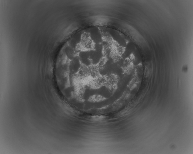 X0000094350363200711241920