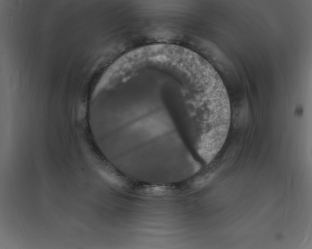 X0000094350365200711241920