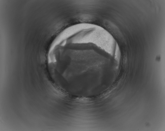 X0000094350367200711241920