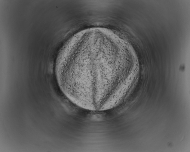 X0000094350368200711241920