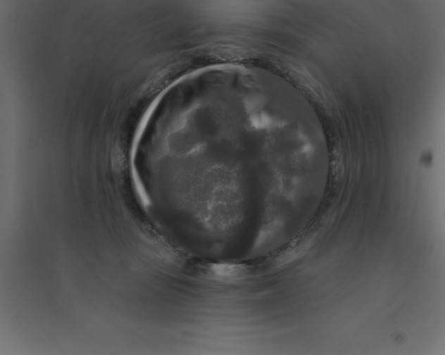 X0000094350371200711241920