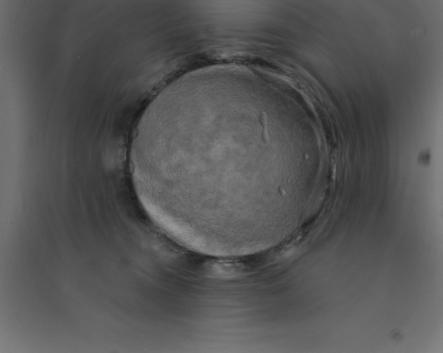 X0000094350372200711241920