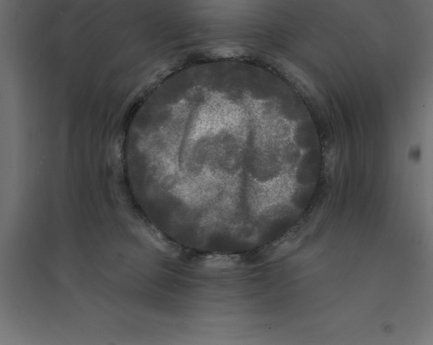 X0000094350373200711241920