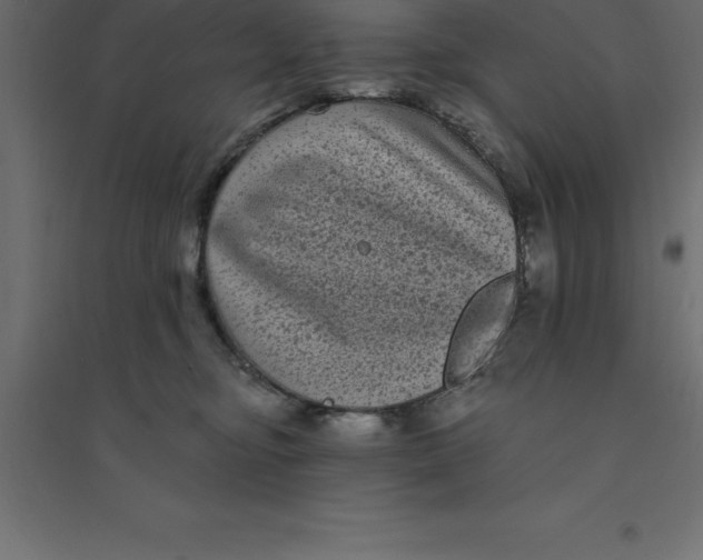 X0000094350374200711241920