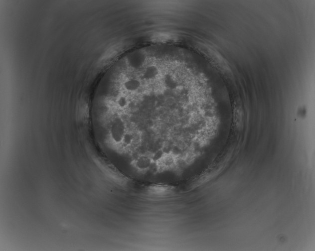 X0000094350375200711241920