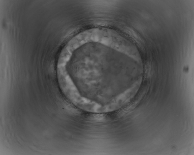 X0000094350377200711241920