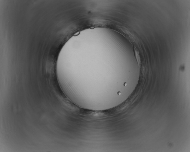 X0000094350379200711241920