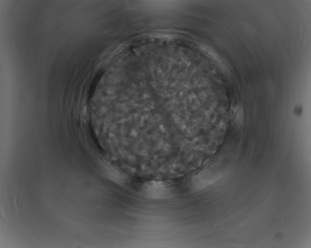 X0000094350381200711241920