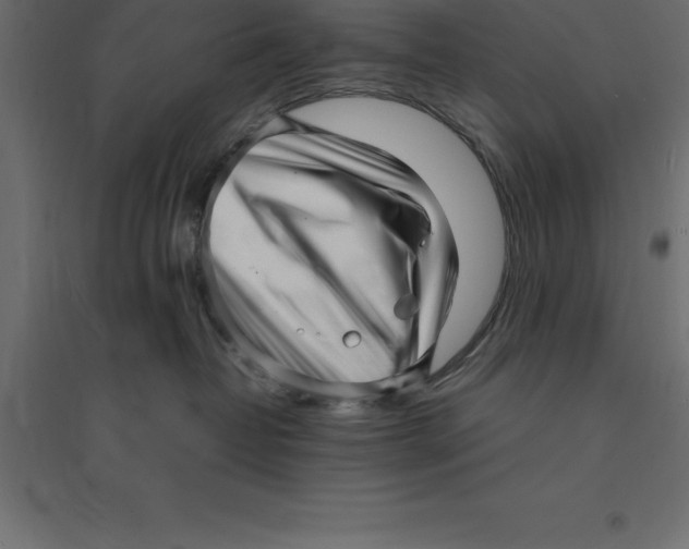 X0000094350382200711241920