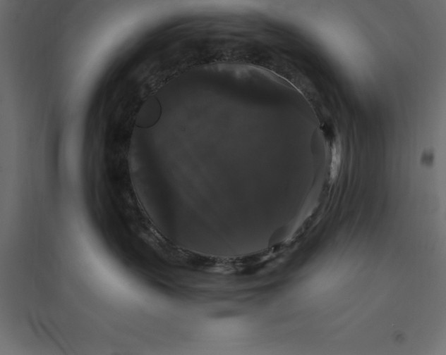 X0000094350383200711241920