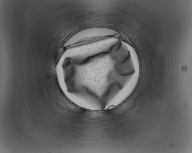 X0000094350384200711241920