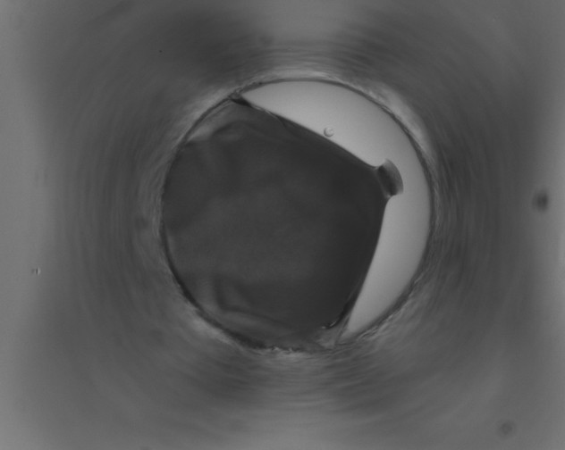 X0000094350385200711241919