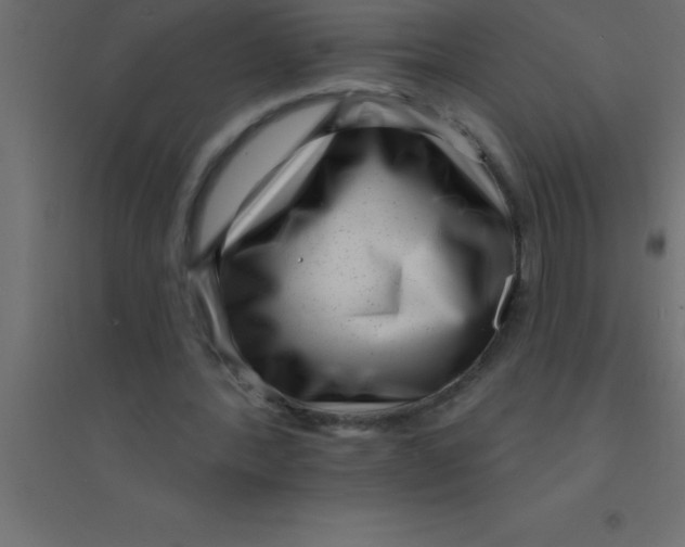 X0000094350388200711241919