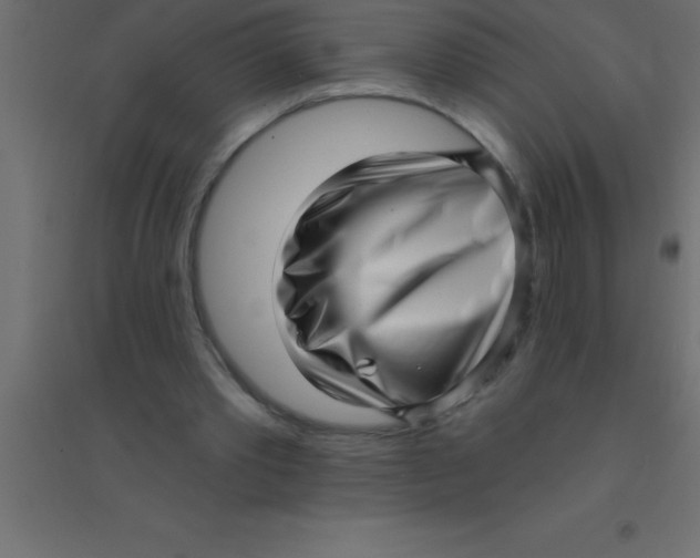 X0000094350389200711241919