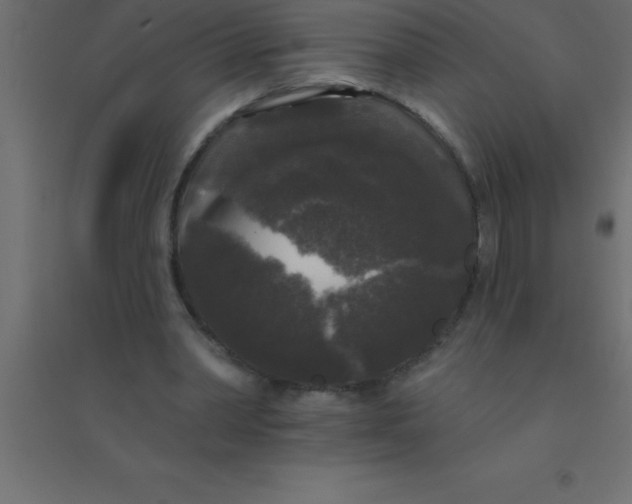 X0000094350390200711241919