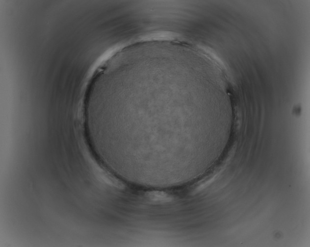 X0000094350392200711241919