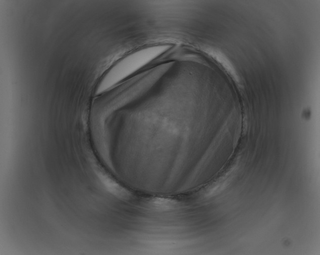 X0000094350393200711241919