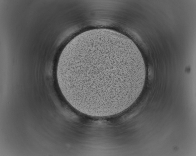 X0000094350396200711241919