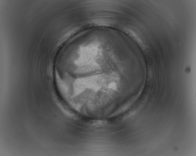 X0000094350398200711241919