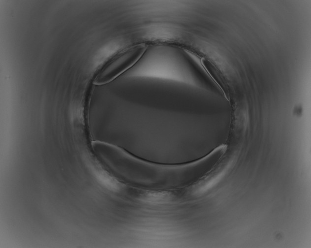 X0000094350399200711241919