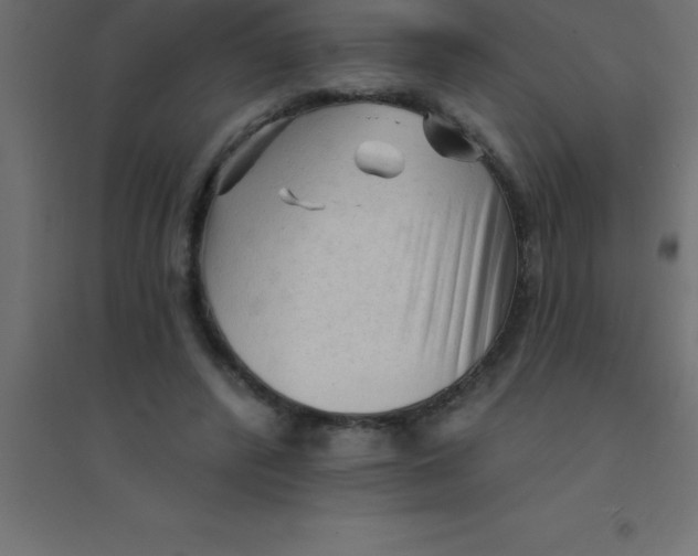 X0000094350400200711241919