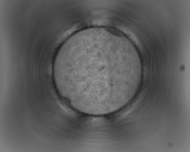 X0000094350401200711241919