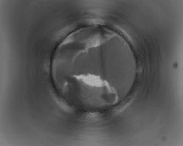 X0000094350402200711241919