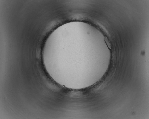 X0000094350403200711241919