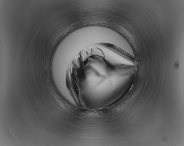 X0000094350405200711241919