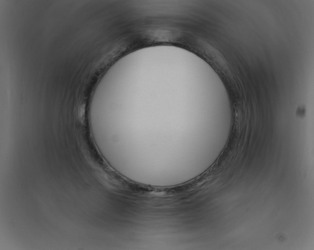 X0000094350406200711241919