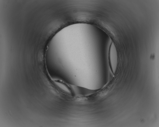 X0000094350407200711241919