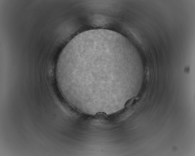 X0000094350408200711241919