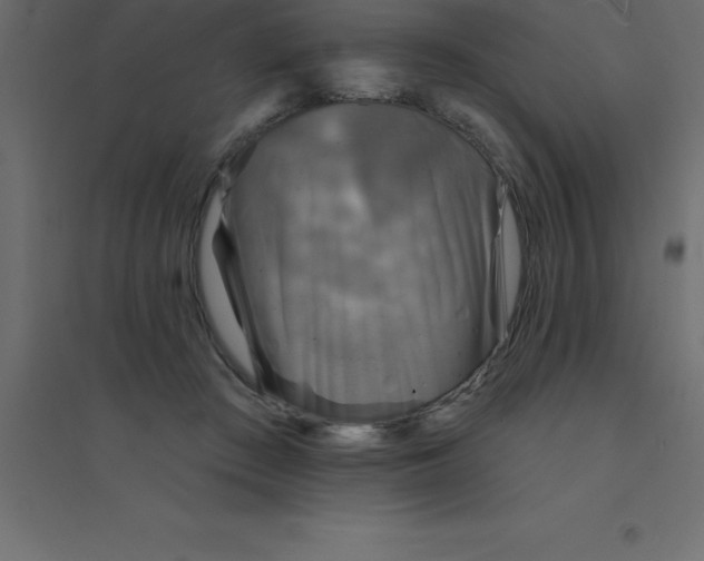 X0000094350409200711241919