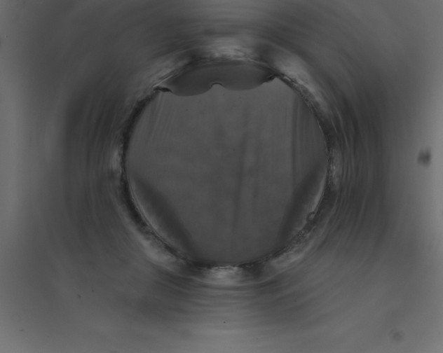 X0000094350410200711241919