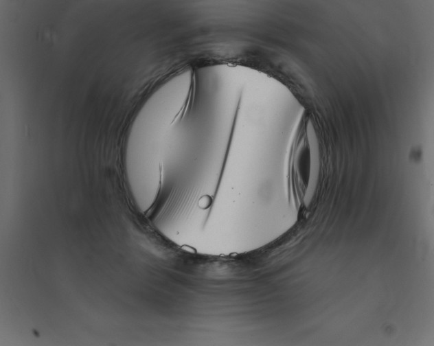 X0000094350412200711241919