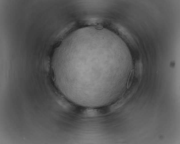 X0000094350413200711241919