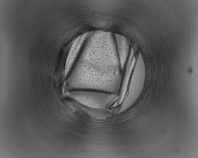 X0000094350416200711241919