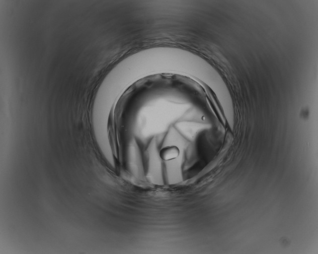 X0000094350419200711241919