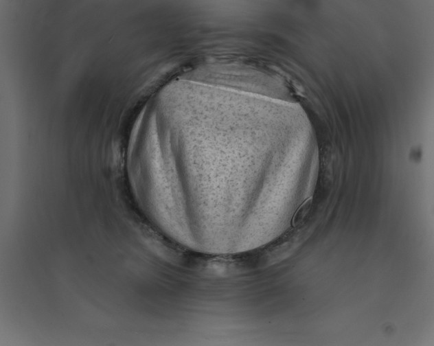 X0000094350420200711241919