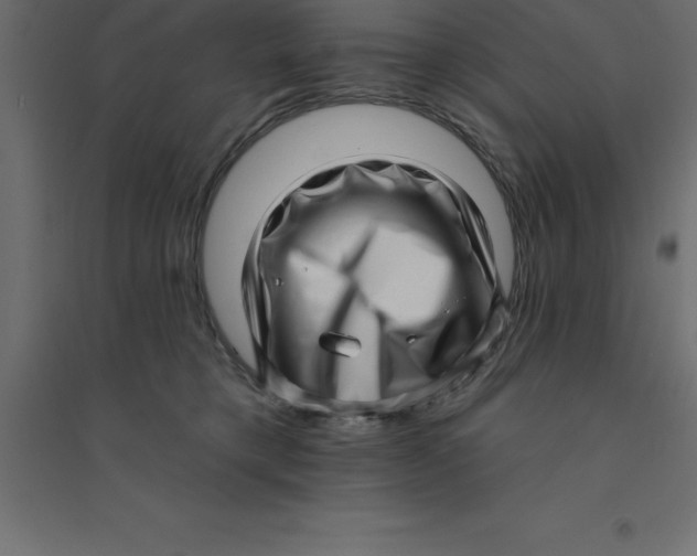 X0000094350421200711241919