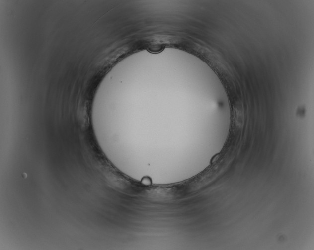 X0000094350422200711241919