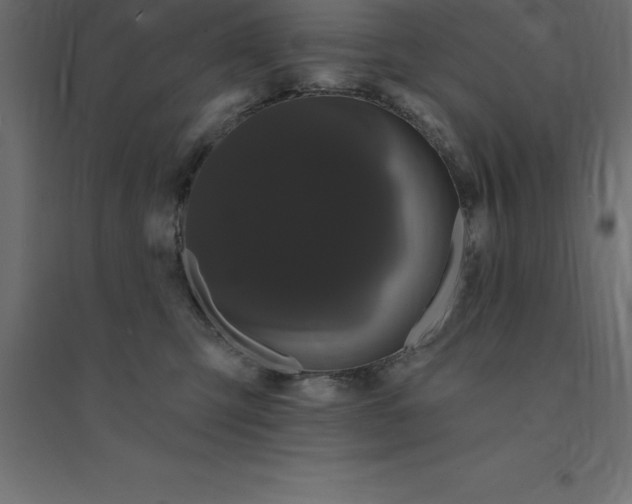 X0000094350423200711241919