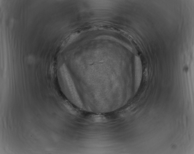 X0000094350424200711241919