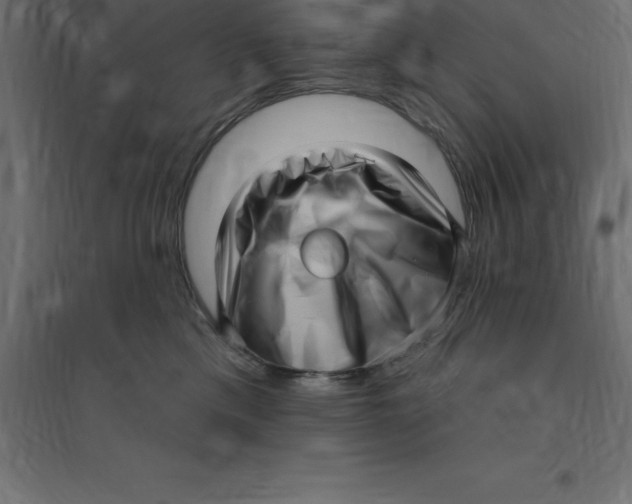 X0000094350425200711241919