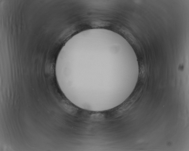 X0000094350426200711241919