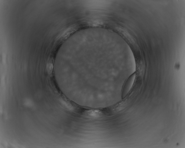 X0000094350427200711241919