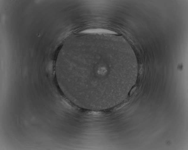 X0000094350428200711241919