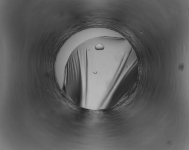 X0000094350429200711241919