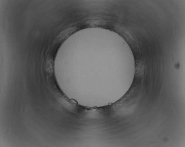 X0000094350430200711241919