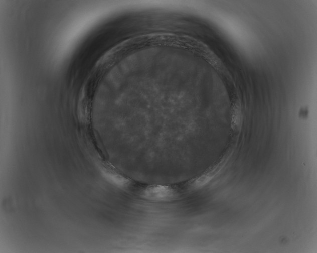 X0000094350431200711241919